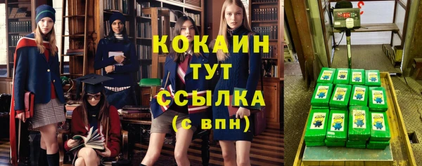 spice Алзамай