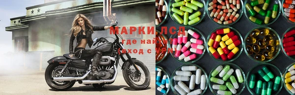 spice Алзамай