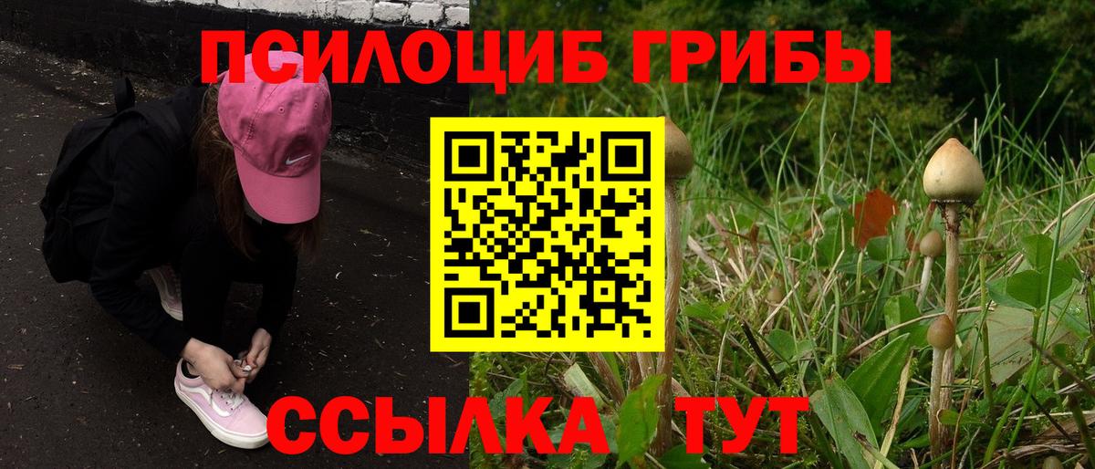 магазин продажи наркотиков  Воскресенск  Галлюциногенные грибы Psilocybine cubensis 