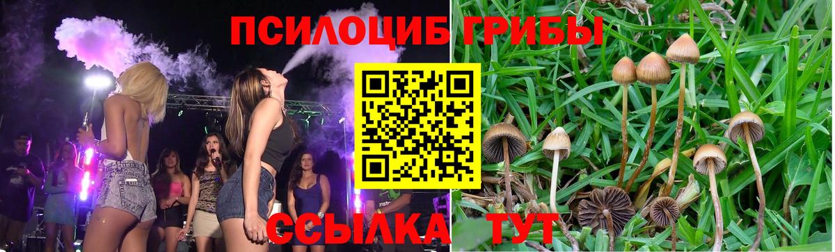 Галлюциногенные грибы ЛСД  Вход с VPN  Псилоцибиновые грибы MAGIC MUSHROOMS  Воскресенск 