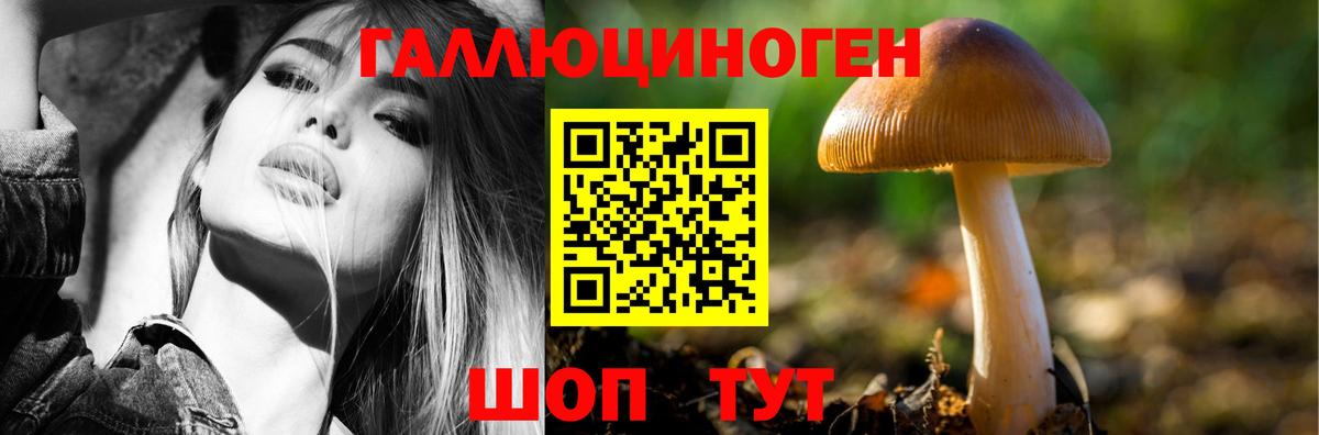 Галлюциногенные грибы GOLDEN TEACHER Воскресенск